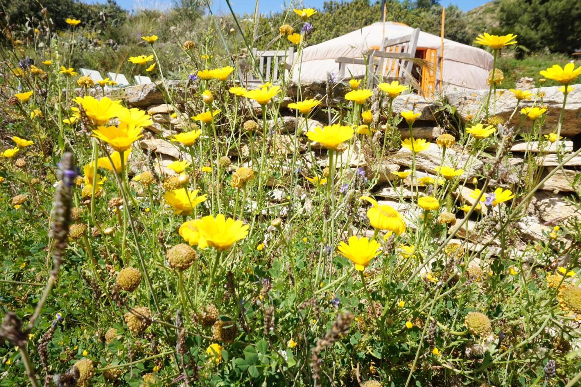 Bed & Breakfast Alegria Y Luna Bed and Breakfast Sorbas Exteriör bild